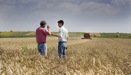 Oplossingen conflicten onroerend goed